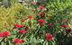 Stringers Cottage - thumb 1