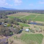 McCaffreys Estate - QLD Tourism 0