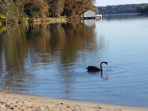 Wyreepi Caribbean Chalet - QLD Tourism 1