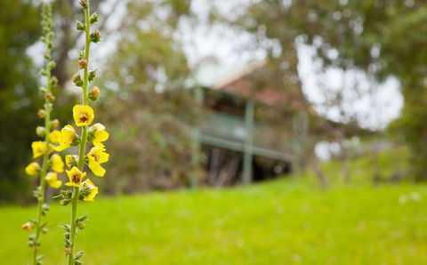 The Bryn At Tilba - QLD Tourism 2