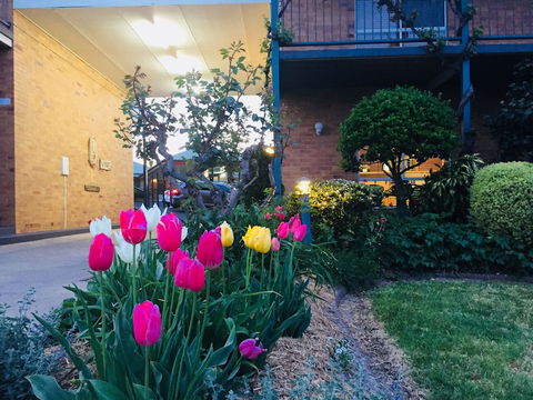 The Vines Motel And Cottages - QLD Tourism 0