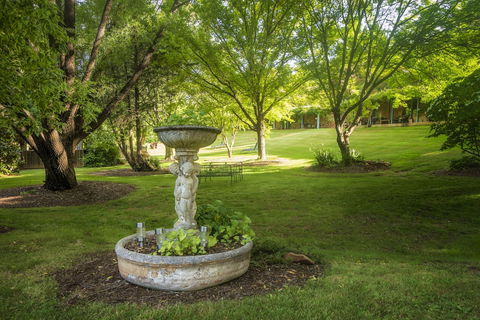 Bright Mystic Valley - QLD Tourism 0