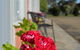 Ship Inn Motel - thumb 1