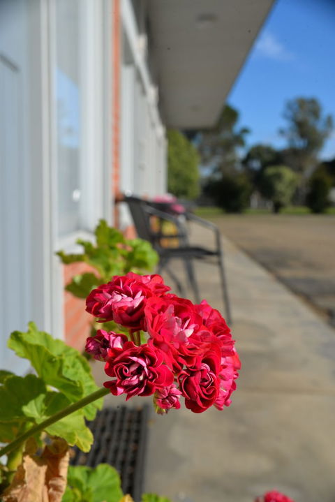Ship Inn Motel - Queensland Tourism 1