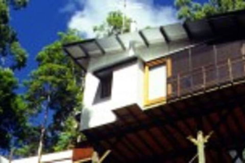 Lyola Pavilions In The Forest - Queensland Tourism 1