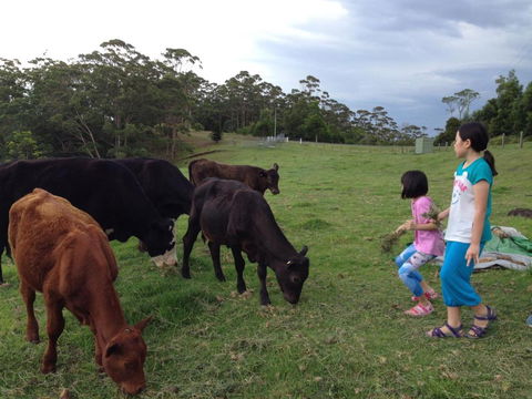 Bellview - QLD Tourism 1