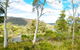 Hill Top Retreat - thumb 5