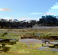 Pelican Point Sanctuary - Queensland Tourism