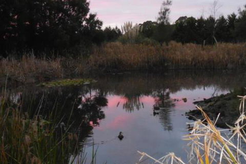 Bunjil Farm - Queensland Tourism 7