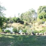 Still Waters - Queensland Tourism 0