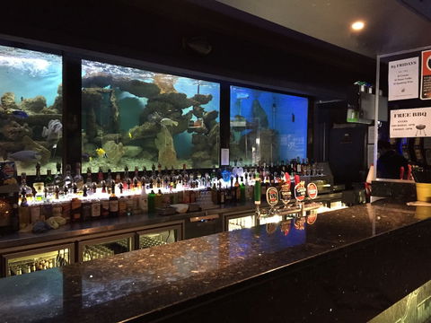 Harp Hotel - QLD Tourism 4