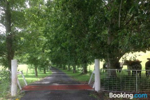 Whispers At Cedar Grove - QLD Tourism 7