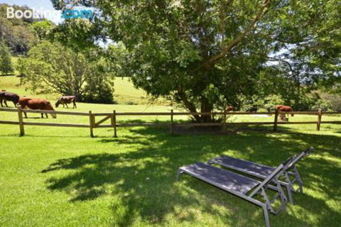 Whispers At Cedar Grove - QLD Tourism 5
