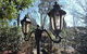 Kubba Roonga Guesthouse - Luxury Spa Retreat - thumb 1