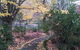 Kubba Roonga Guesthouse - Luxury Spa Retreat - thumb 2