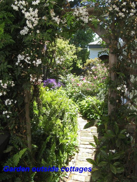 The Grove Cottages - QLD Tourism 3