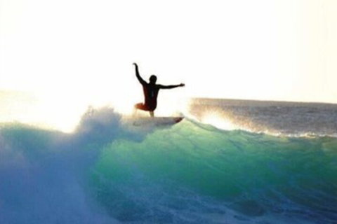 Nautilus Retreat - QLD Tourism 7