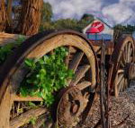 Bellum Hotel - QLD Tourism