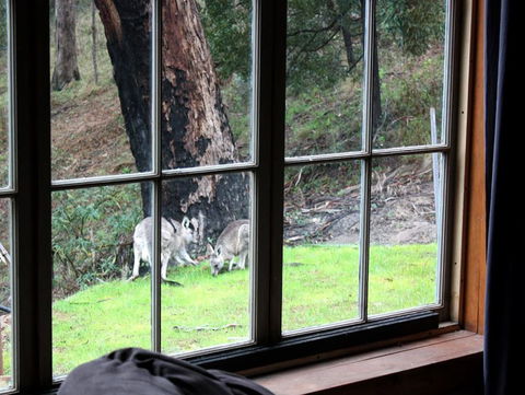 La Boheme Villa - QLD Tourism 6
