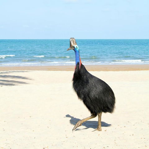 Ocean Serenity - Queensland Tourism 3