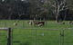 Breakaway Farmstay - thumb 1
