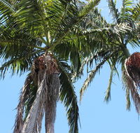 Tri Byron Bay - QLD Tourism