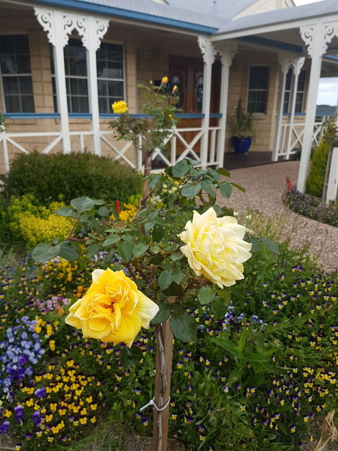 Grovely House Bed & Breakfast - QLD Tourism 3