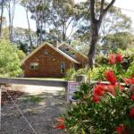11 Barkala St. Dalmeny - QLD Tourism 0