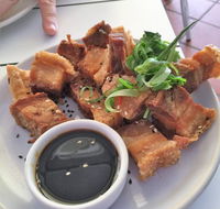 Jellyfish - Queensland Tourism