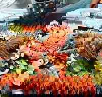 Mohr Fish - Queensland Tourism