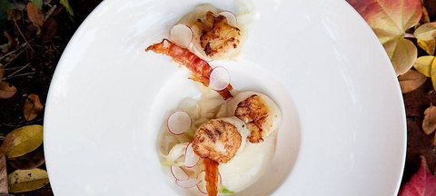 Pod Food - Queensland Tourism 0