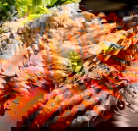 Table 30 - Queensland Tourism