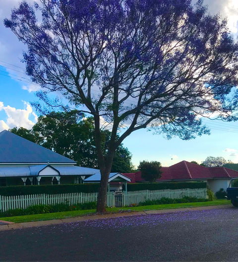 The Spotted Cow - Queensland Tourism 1