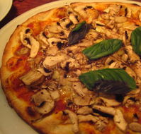 Tiamo - Queensland Tourism