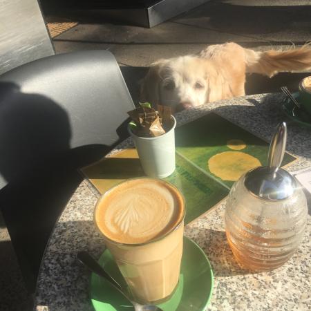 Espresso Koo - QLD Tourism 0