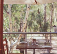 Morrisons Winery  Restaurant - QLD Tourism