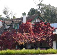 Fetching Treasures - Queensland Tourism