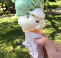 The Rainbow Ice Cream Shop - Queensland Tourism