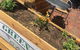 Green Bean Cafe - thumb 0