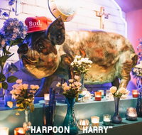 Hotel Harry - Queensland Tourism