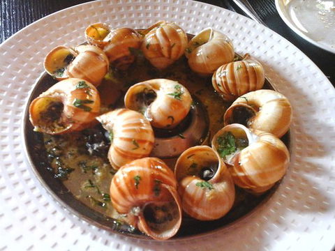 La Grillade - QLD Tourism 0
