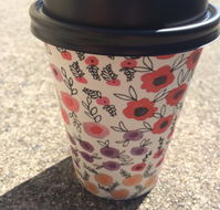 Scatter Bean - Queensland Tourism