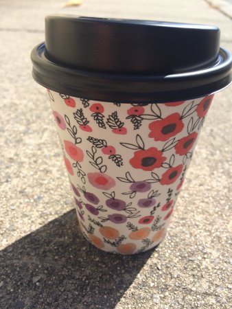 Scatter Bean - QLD Tourism 0
