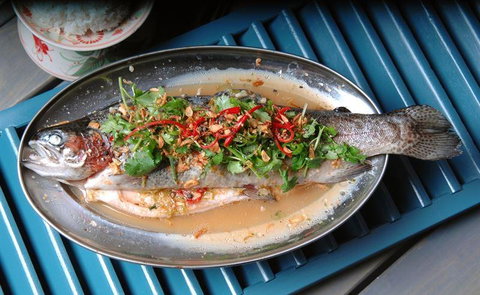 Vui Va Say - Queensland Tourism 9