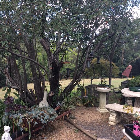 Leonies Little Tree Cafe - QLD Tourism 0