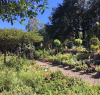 Yatte Yattah Nursery  Cafe - Queensland Tourism