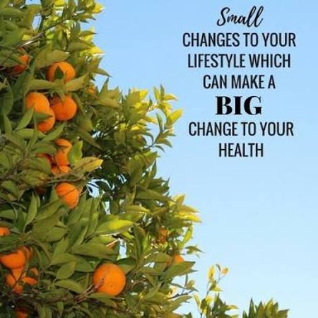 Nelson Bay Health Foods - Queensland Tourism 0