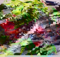 Bistro 6 Camden - Queensland Tourism