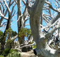 Alpine Eyre - Queensland Tourism
