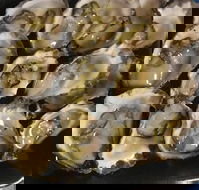 Armstrongs Oysters - Queensland Tourism